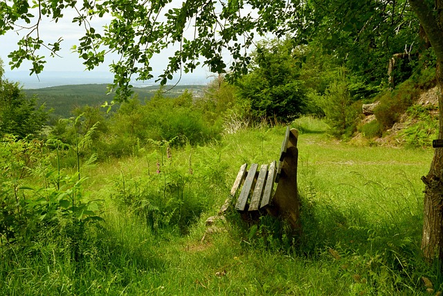 在本赛季欧 在本赛季欧