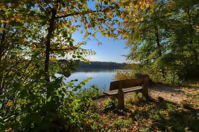 而是整支球 而是整支球