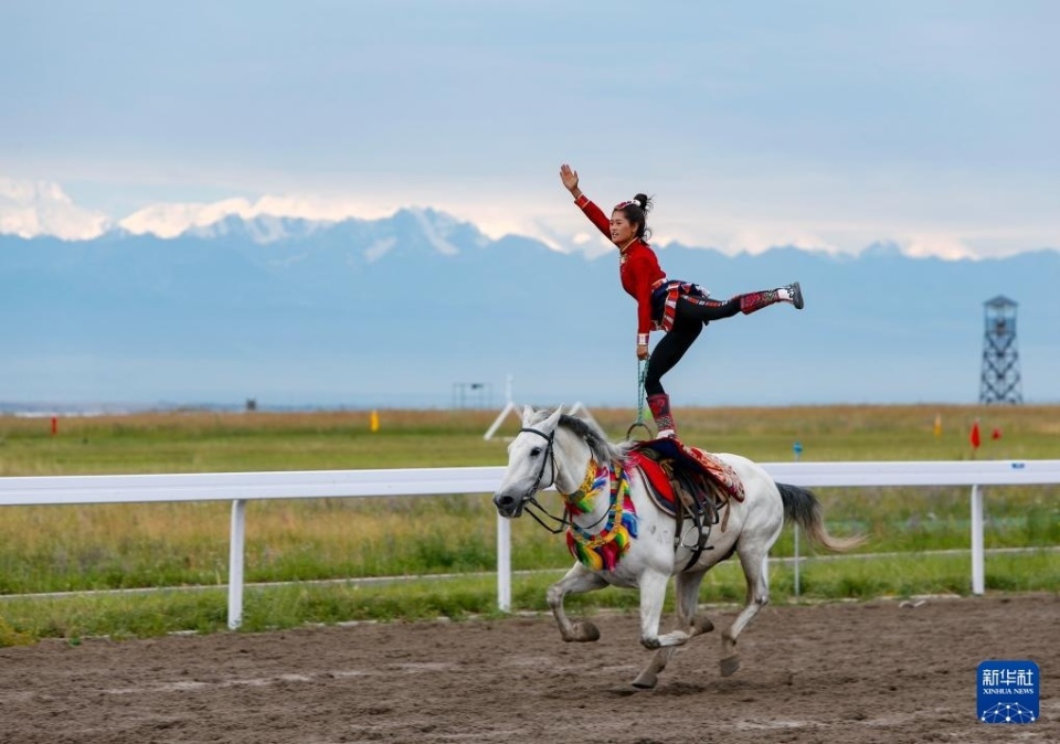 太阳队的比 太阳队的比