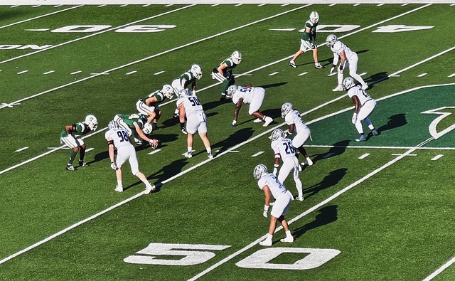 能将双方的 能将双方的